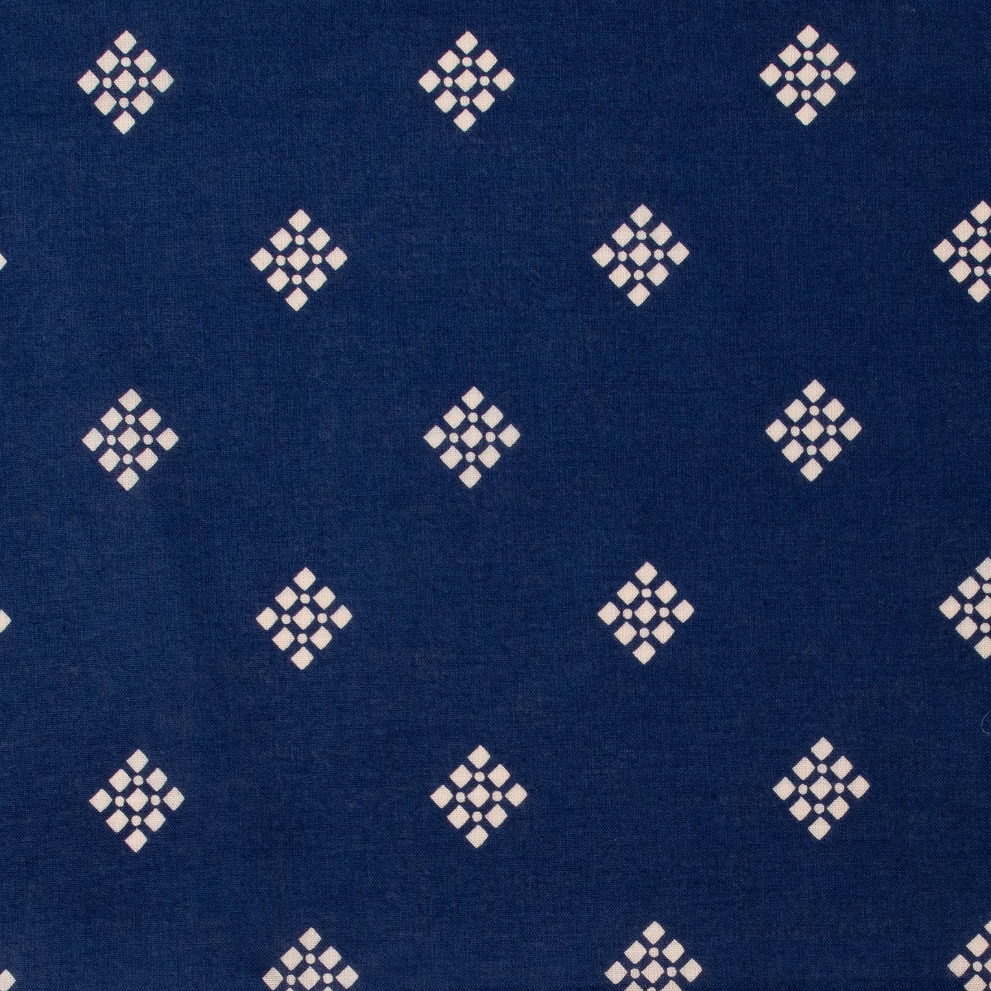 The Camel Brand - Bishi 70x70 (Pre Order 予約注文)