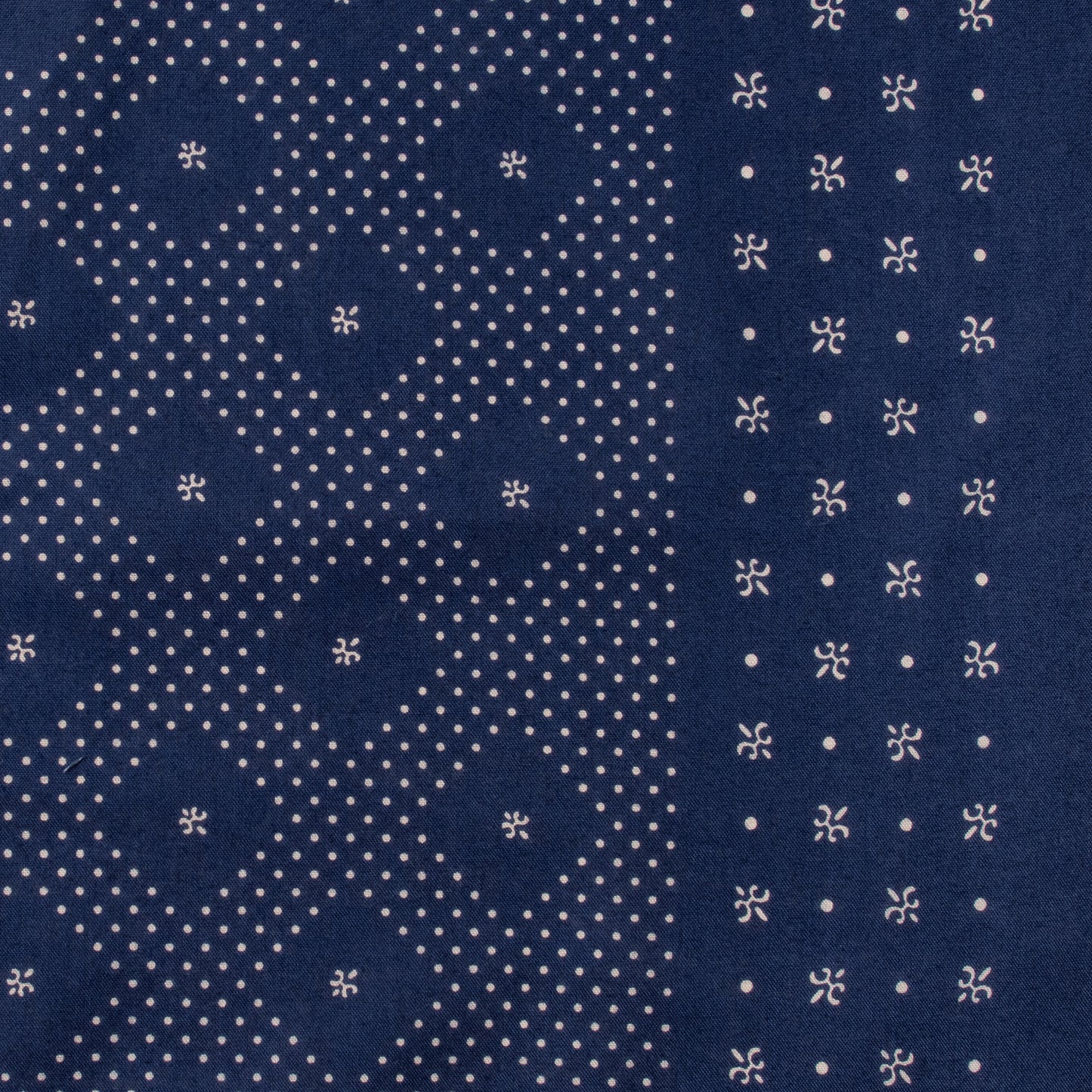 The Camel Brand - Teapot (PREORDER-予約注文)