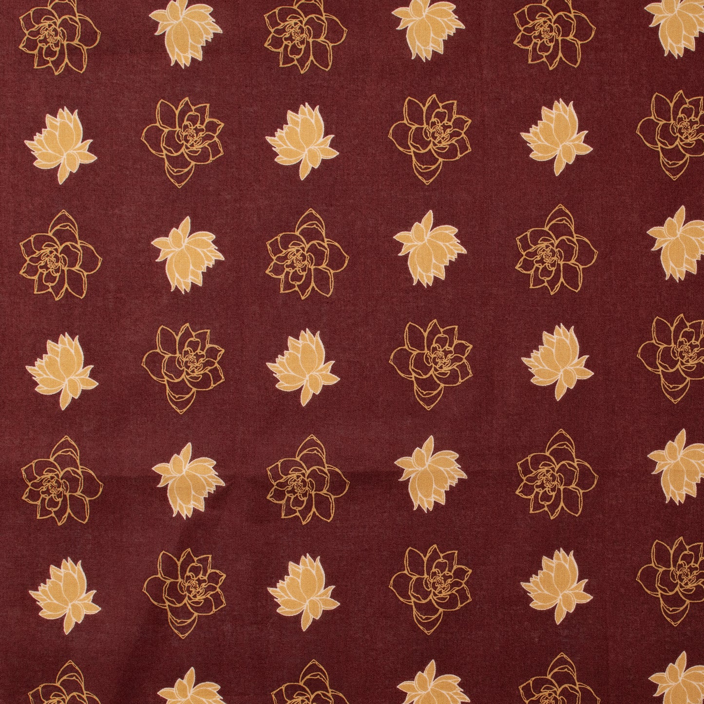 Bonbois (Pre-Order) (予約注文)