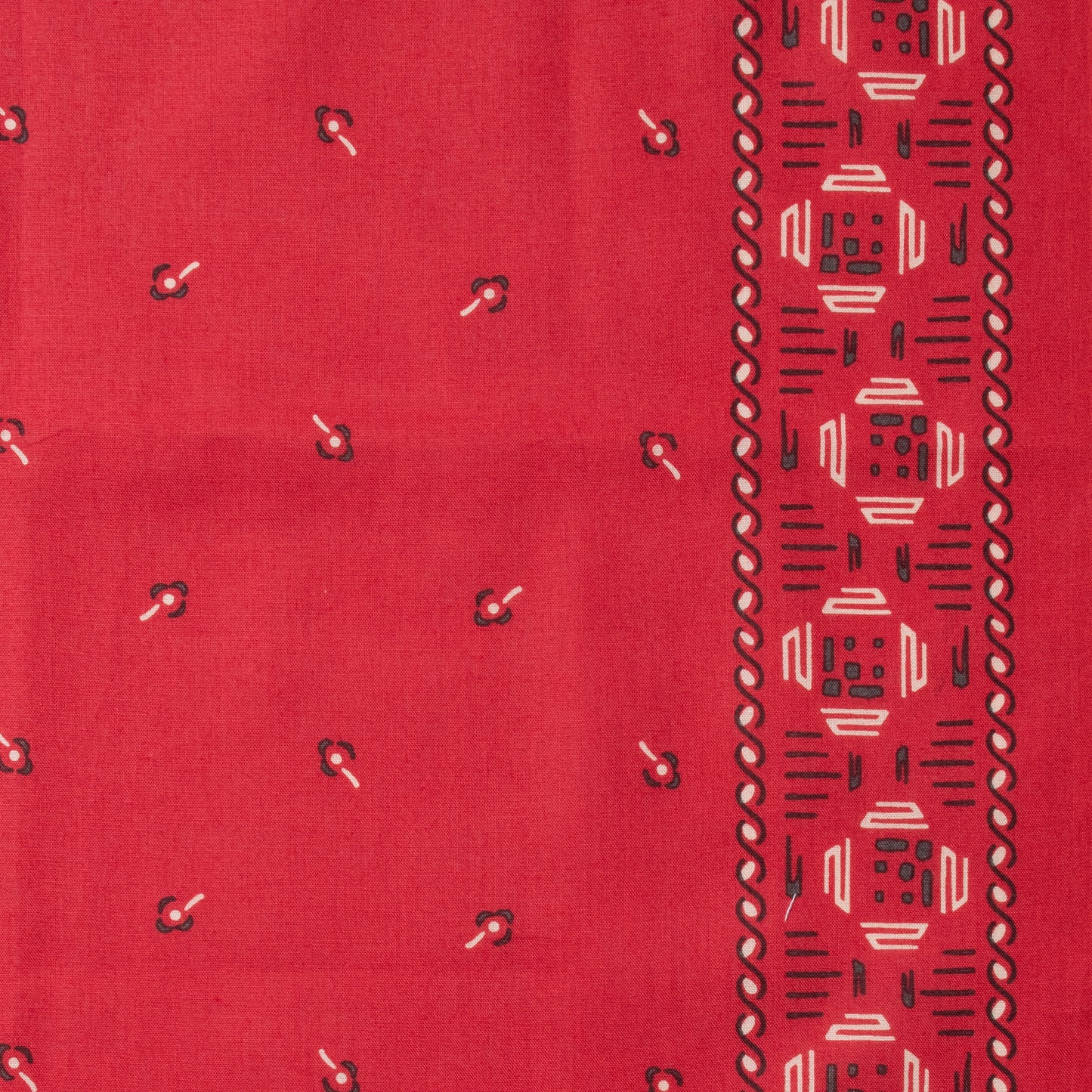 キャメルブランド - エーデルワイス