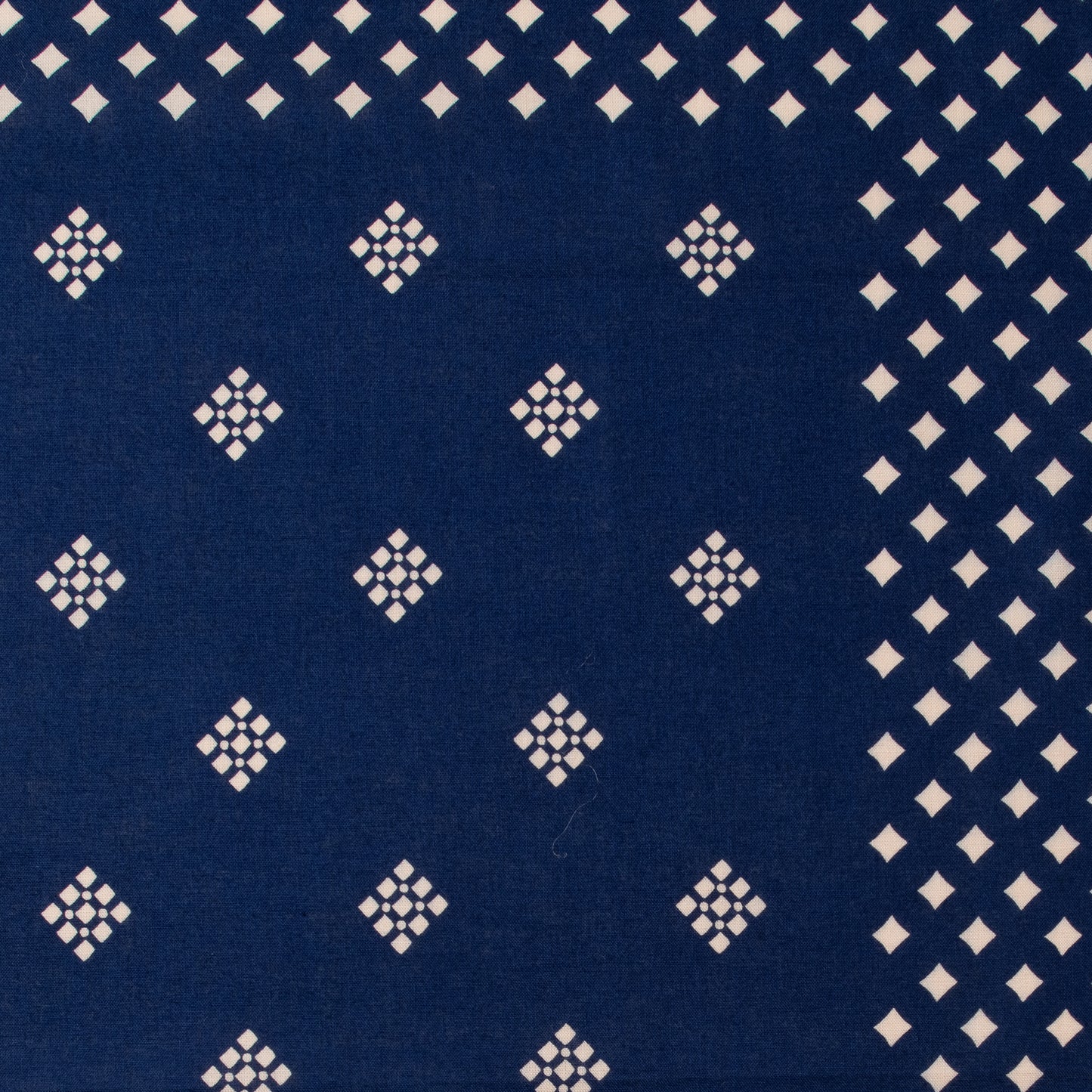 The Camel Brand - Bishi 70x70 (Pre Order 予約注文）