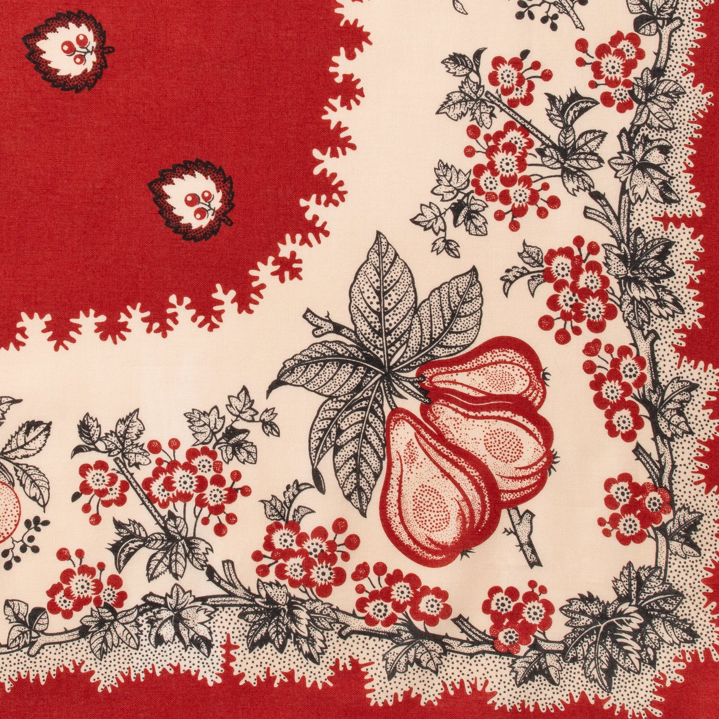 poire (PREORDER 予約注文）