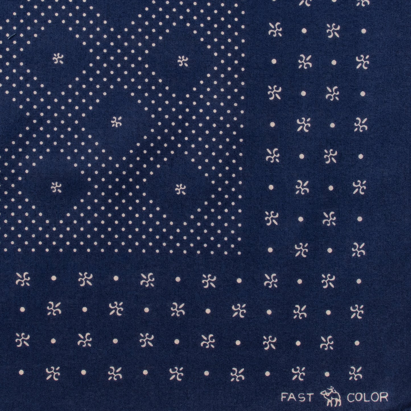 The Camel Brand - Teapot (PREORDER-予約注文）