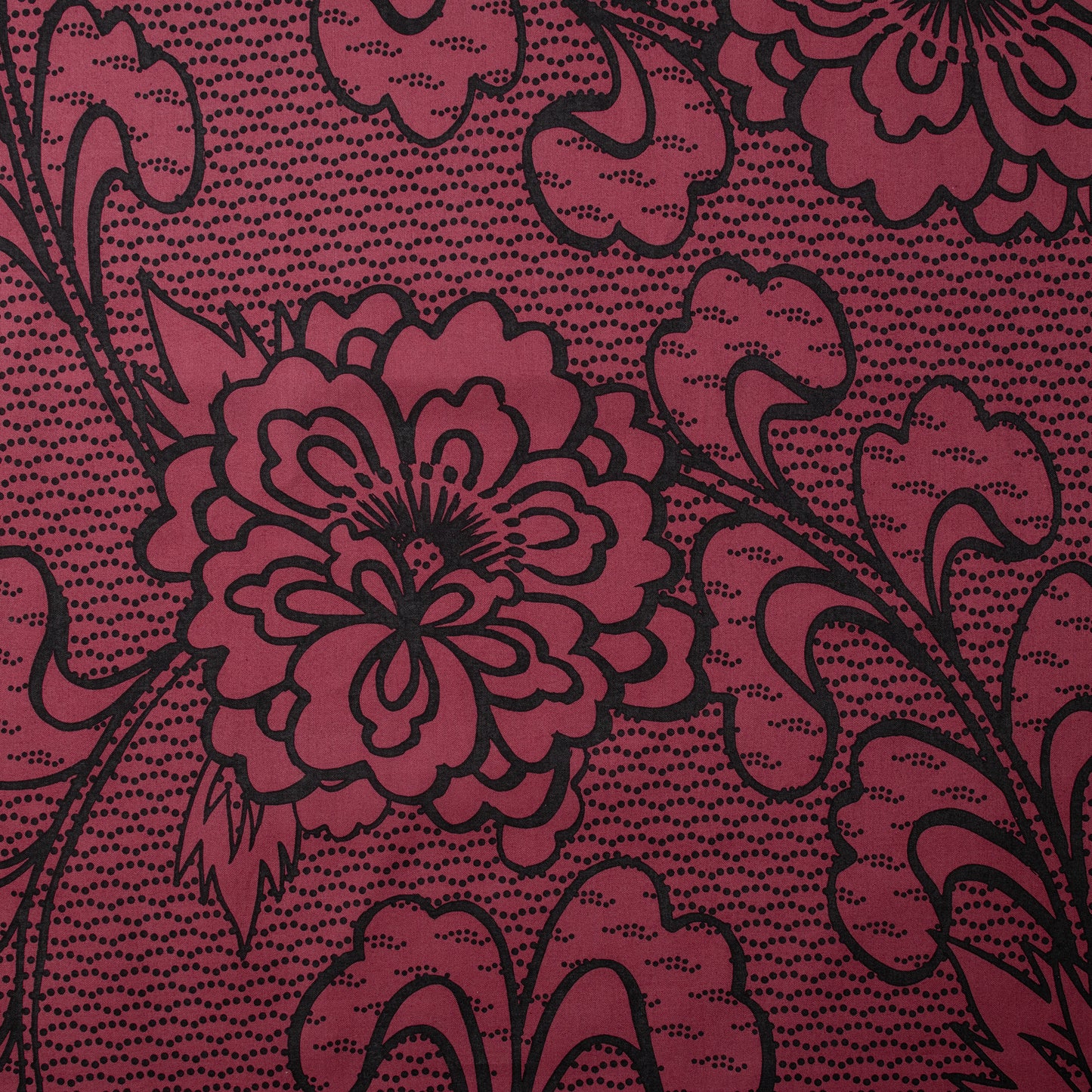 Kiku (Pre-Order 予約注文)